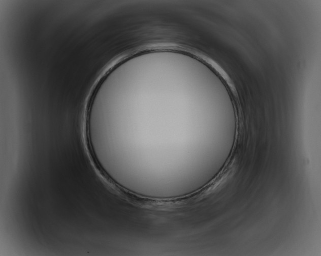 X0000099581245200805160739