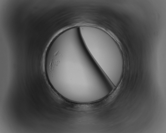 X0000099581246200805160739