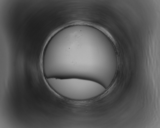 X0000099581247200805160739