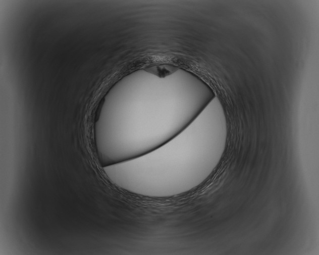 X0000099581249200805160739