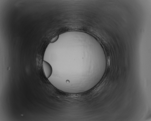 X0000099581251200805160739