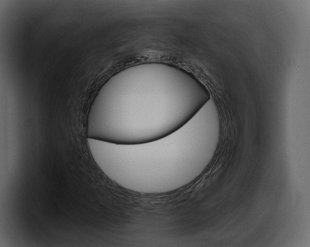 X0000099581253200805160739