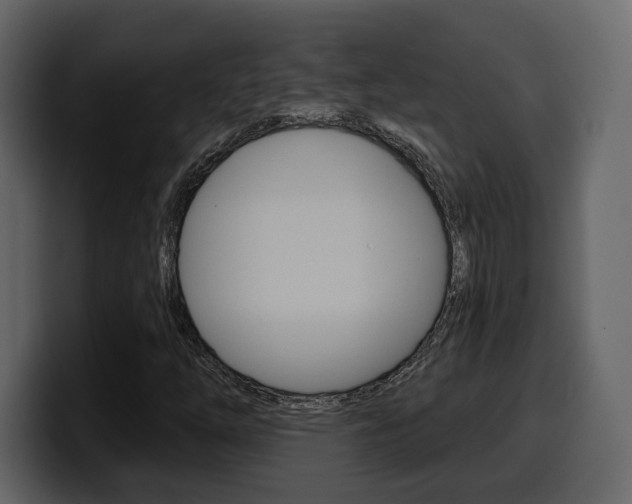 X0000099581254200805160739