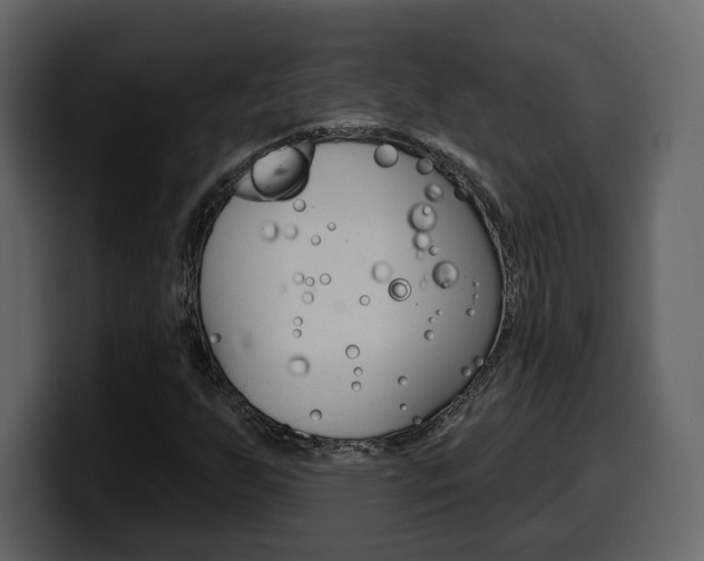 X0000099581255200805160739