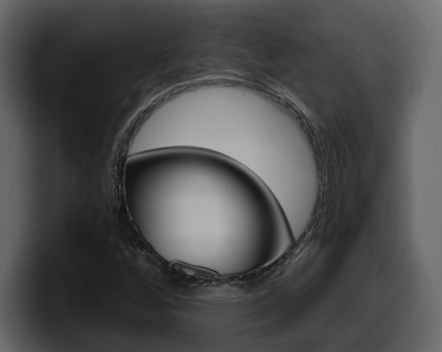 X0000099581256200805160739