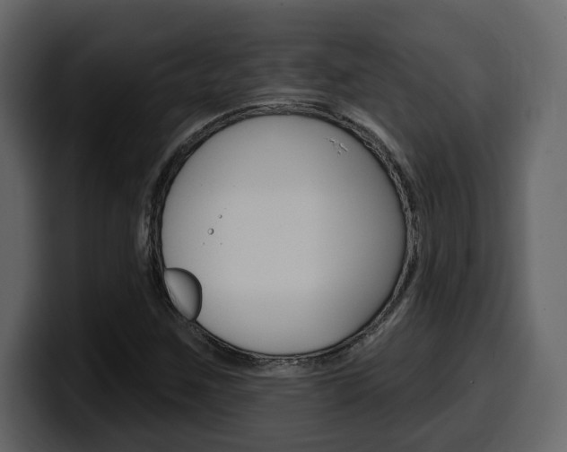 X0000099581259200805160739