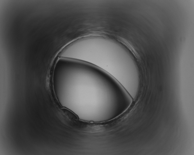 X0000099581260200805160739