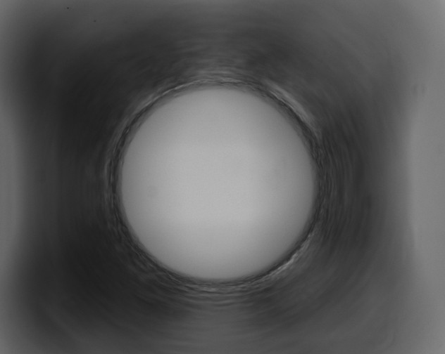 X0000099581261200805160739