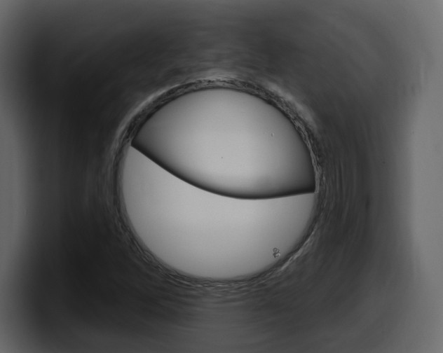 X0000099581262200805160739