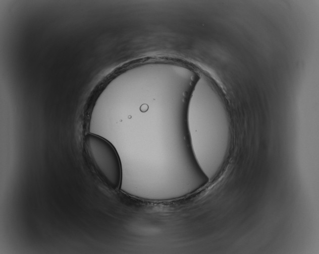 X0000099581263200805160739