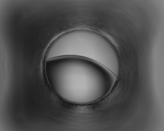 X0000099581264200805160739