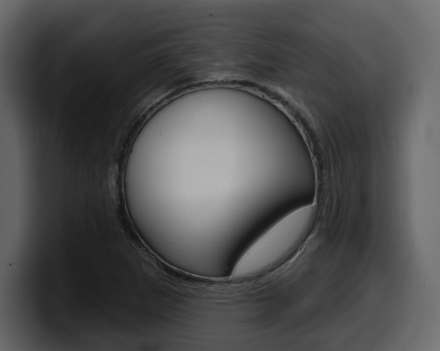 X0000099581265200805160739