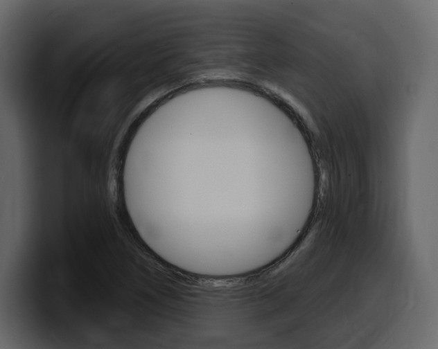 X0000099581266200805160739