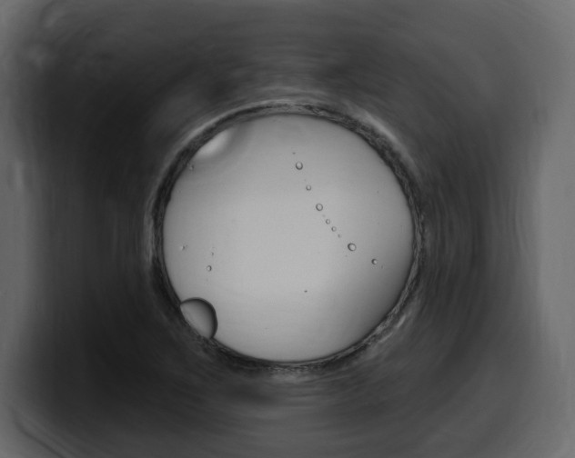 X0000099581267200805160739