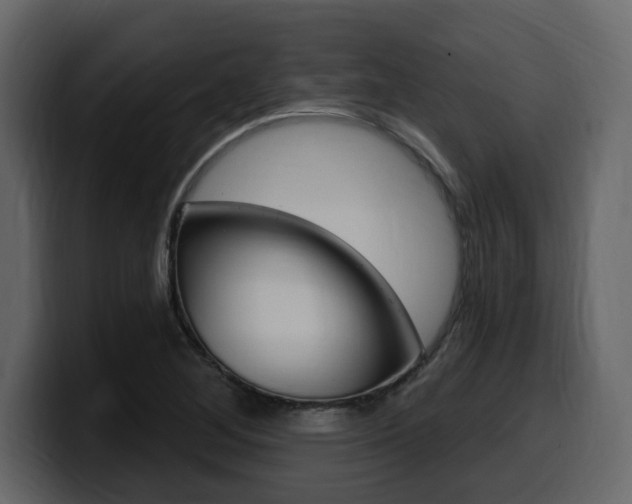 X0000099581268200805160739