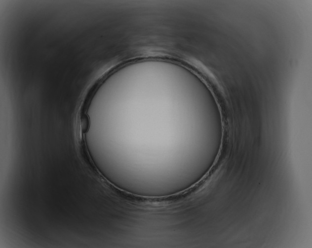X0000099581269200805160739