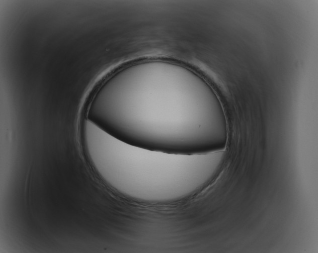 X0000099581270200805160739