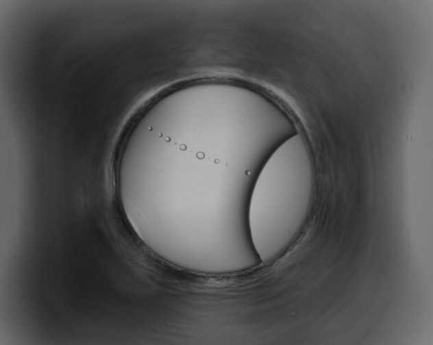 X0000099581271200805160739