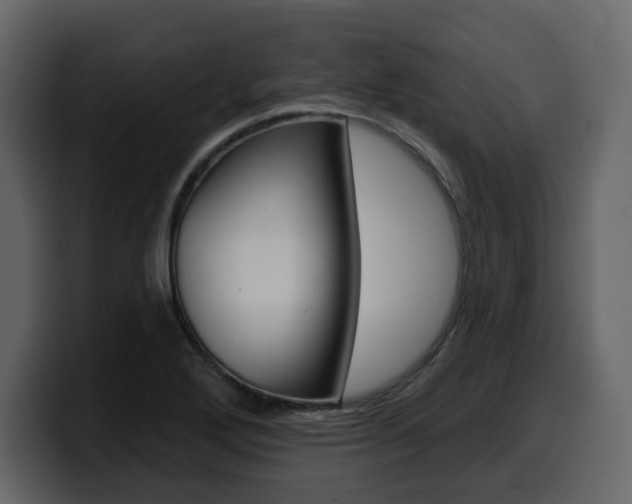 X0000099581272200805160738