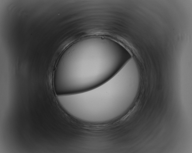 X0000099581273200805160738