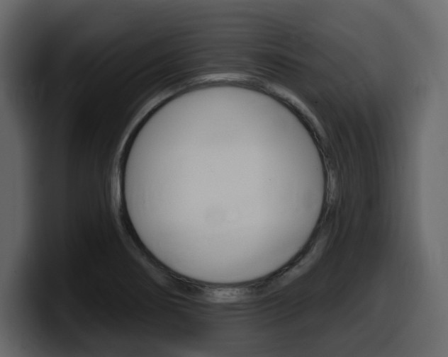 X0000099581274200805160738