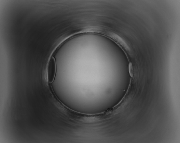 X0000099581276200805160738