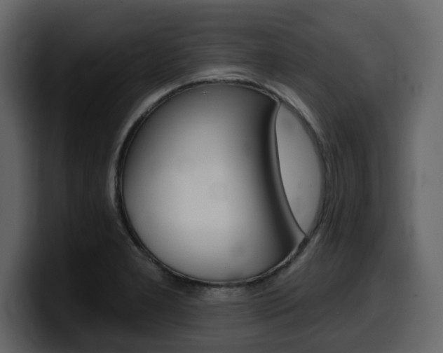 X0000099581277200805160738