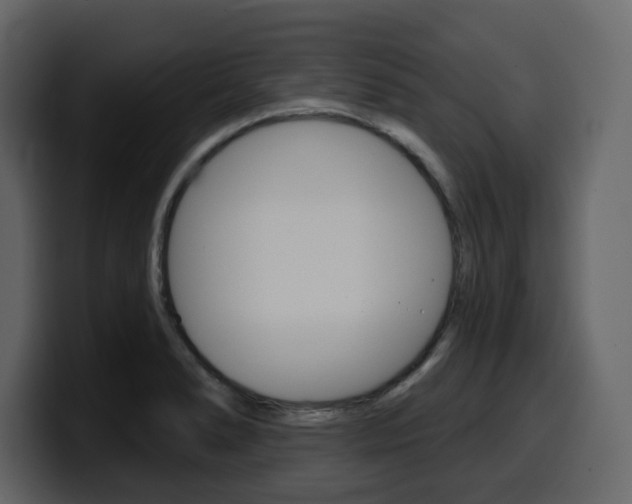 X0000099581278200805160738