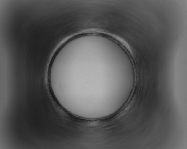 X0000099581279200805160738