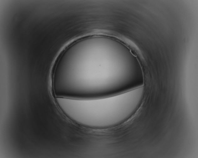 X0000099581280200805160738