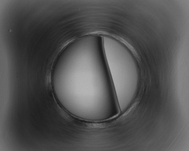 X0000099581281200805160738