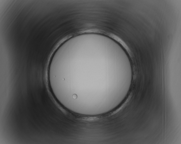 X0000099581282200805160738