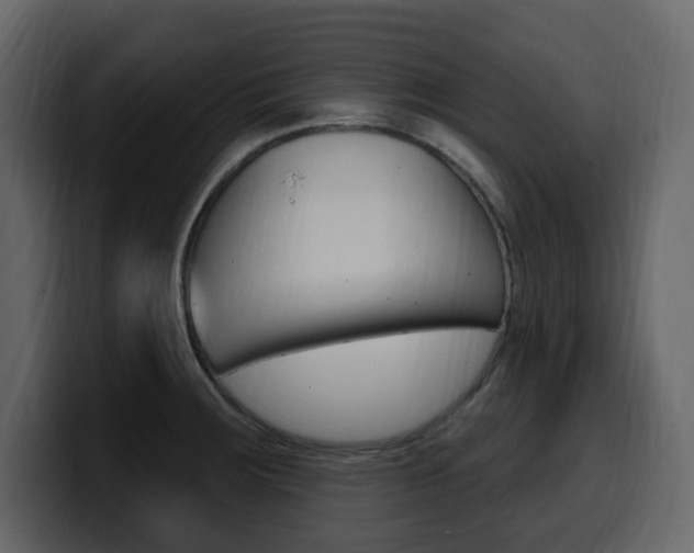 X0000099581283200805160738