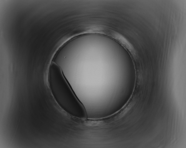 X0000099581284200805160738