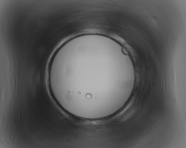 X0000099581286200805160738