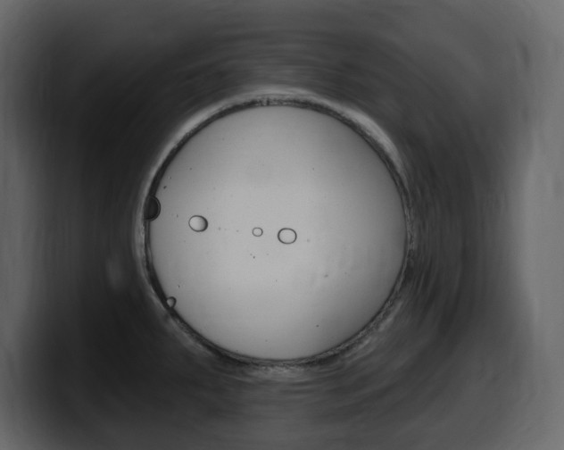X0000099581287200805160738