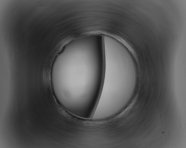 X0000099581289200805160738