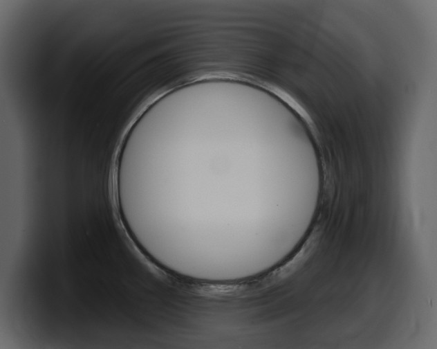 X0000099581290200805160738