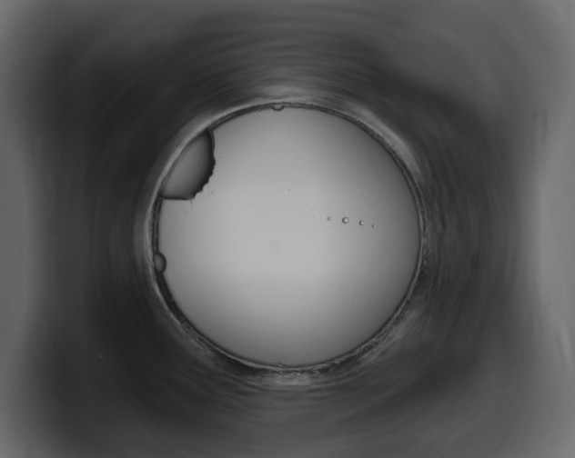 X0000099581291200805160738