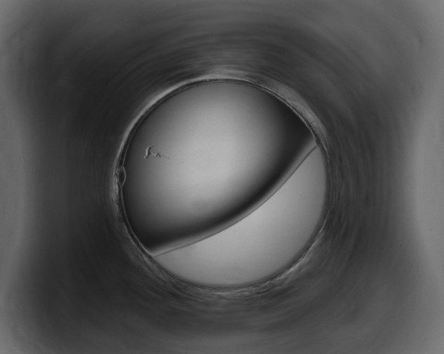 X0000099581292200805160738