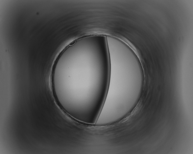 X0000099581293200805160738