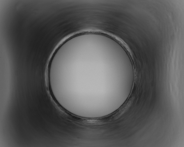 X0000099581295200805160738