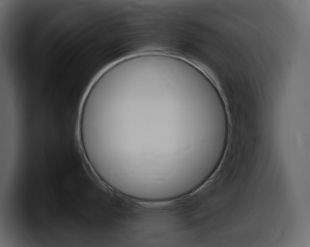 X0000099581296200805160738