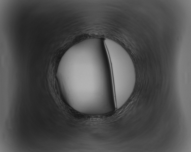 X0000099581297200805160738