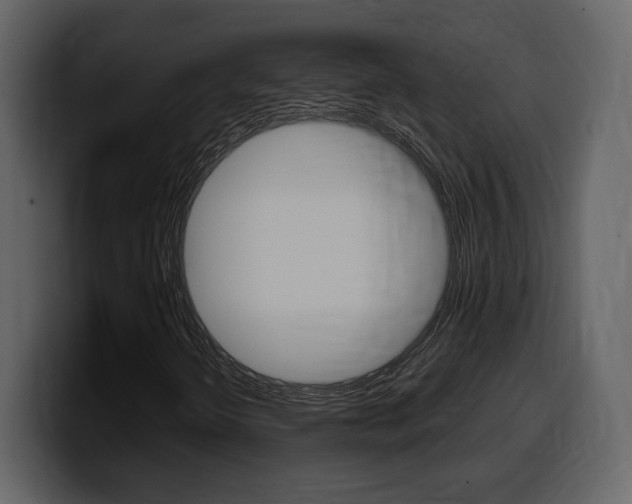 X0000099581298200805160738