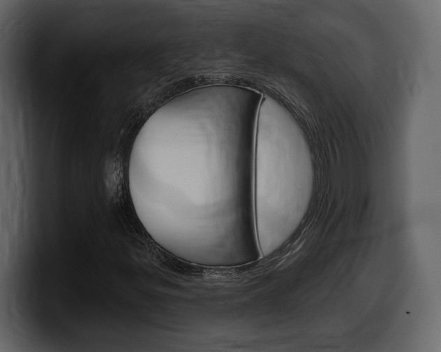 X0000099581299200805160738