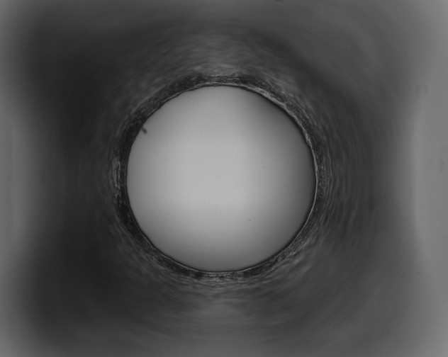 X0000099581301200805160738