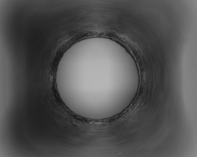 X0000099581302200805160738