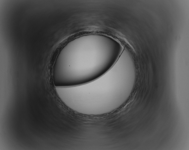 X0000099581304200805160738