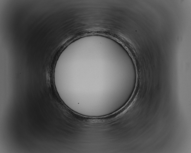 X0000099581305200805160738